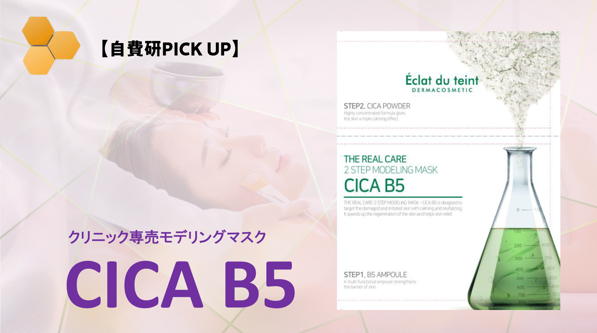 超安い CICA B5 モデリングマスク シカパック 2枚 aob.adv.br